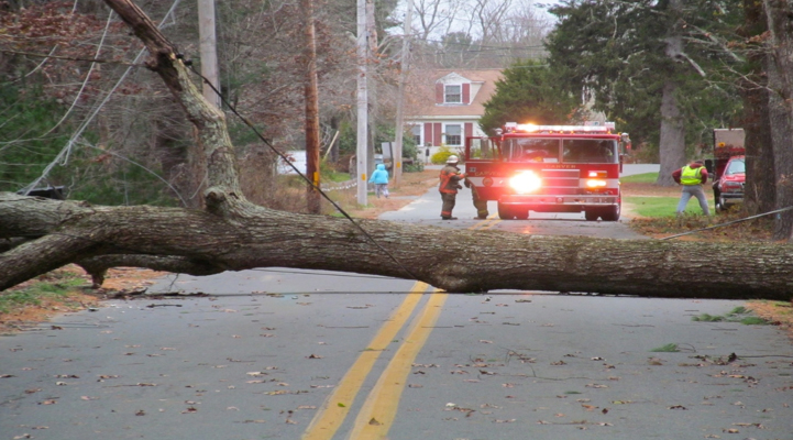 Large tree across fallen wires in roadway